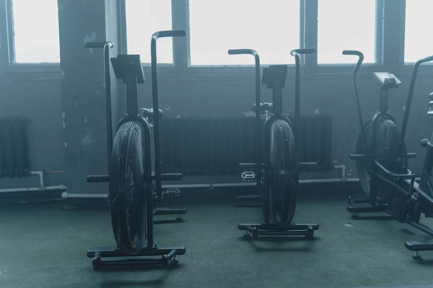 Air bikes in a row under the tall windows
