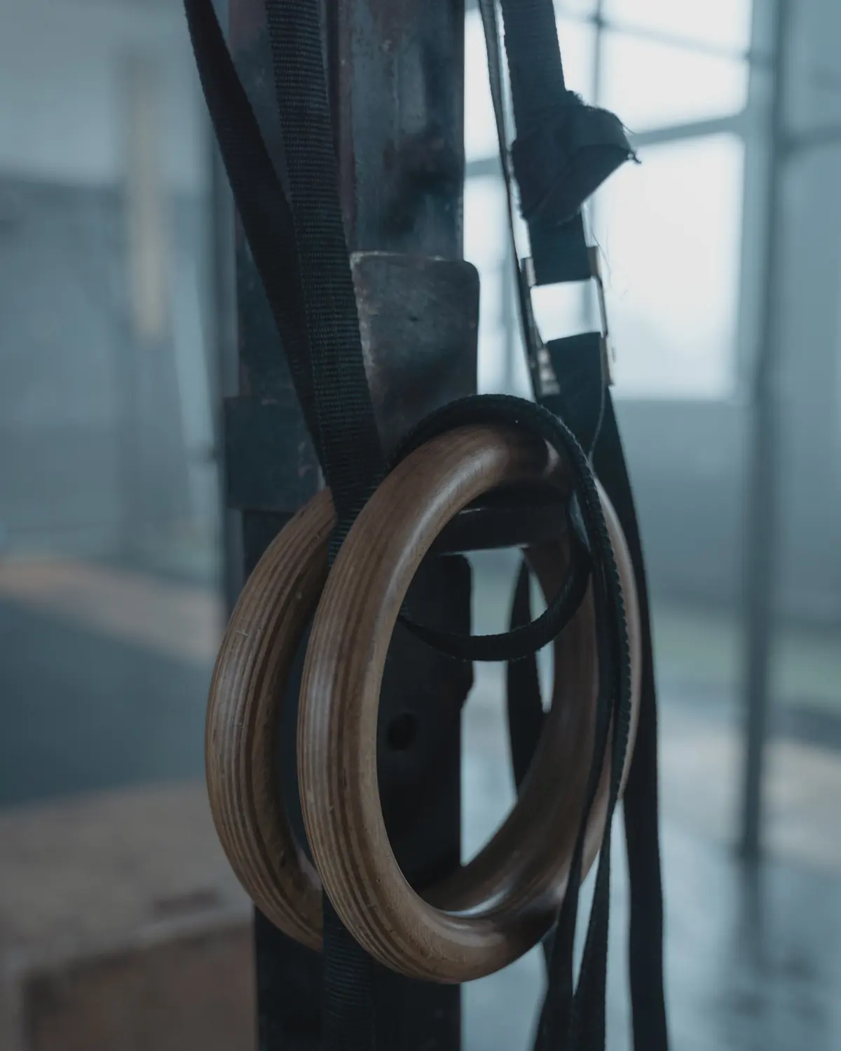 Wooden gymnastic rings hanging from the rig